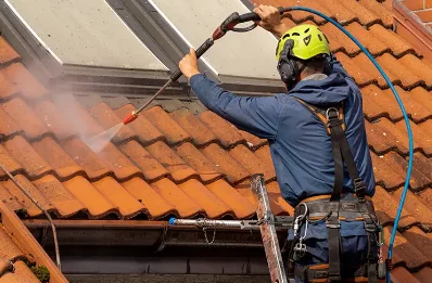 Démoussage et hydrofuge de toiture à Artemare